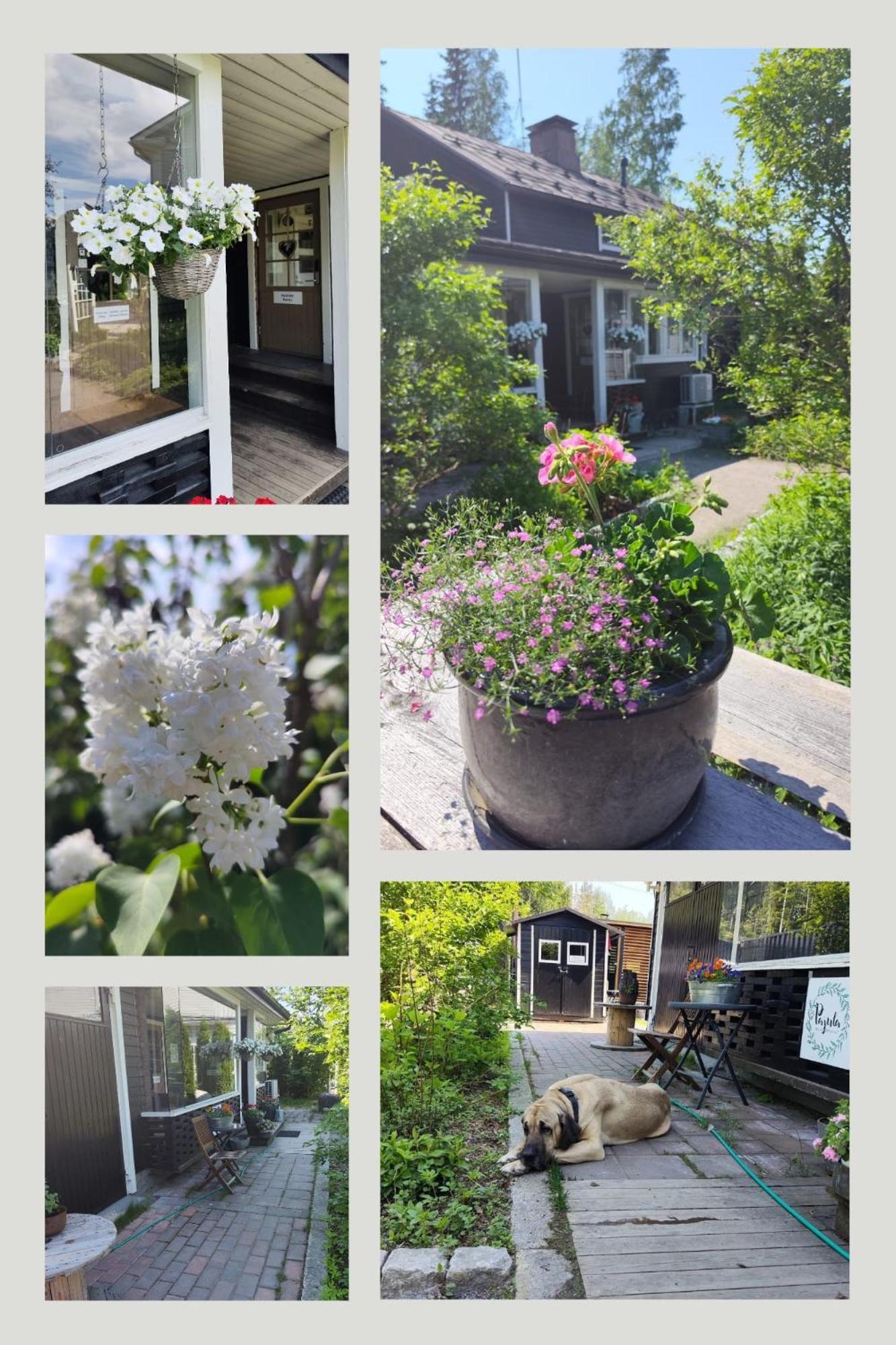 Pajula B&B Järvenpää エクステリア 写真